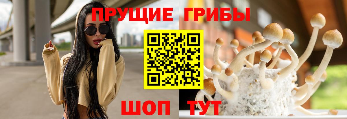 Псилоцибиновые грибы Psilocybine cubensis  Вход с VPN  Галлюциногенные грибы GOLDEN TEACHER  Орехово-Зуево 